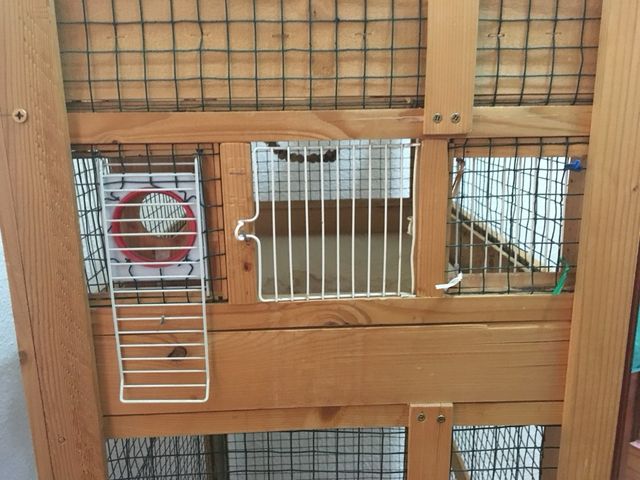 Jaula voladera madera