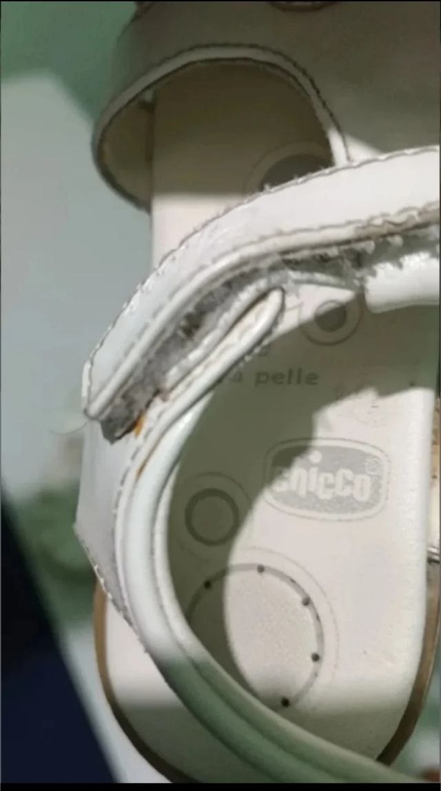 Lote calzado niña número 29