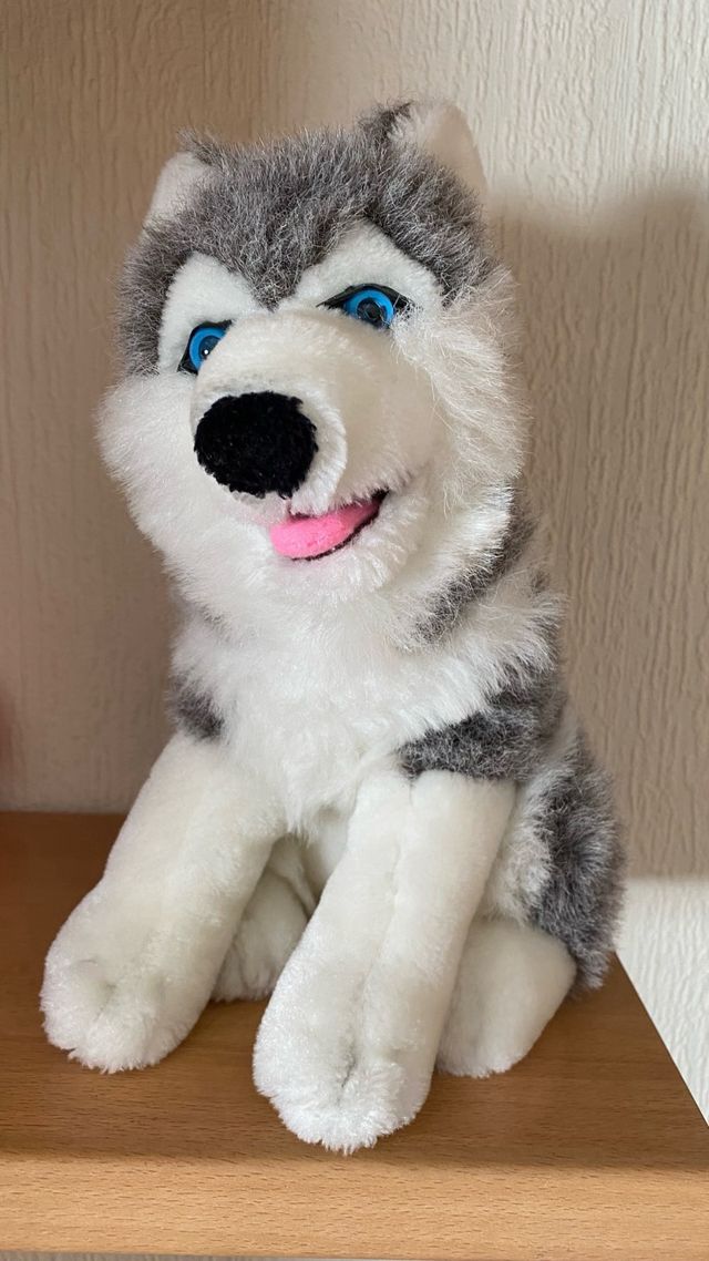 PELUCHE HUSKY SIBERIANO