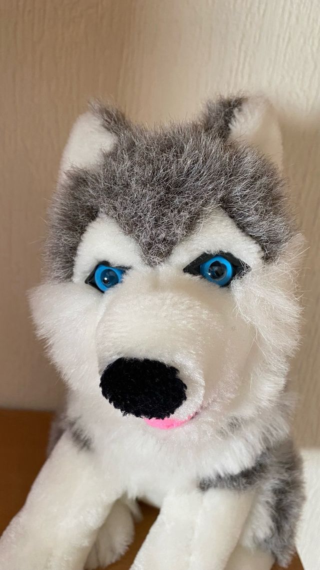 PELUCHE HUSKY SIBERIANO