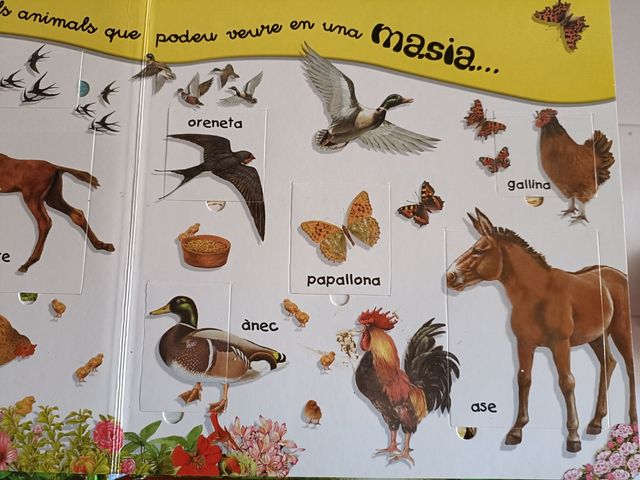 Llibre infantil: "Masia"