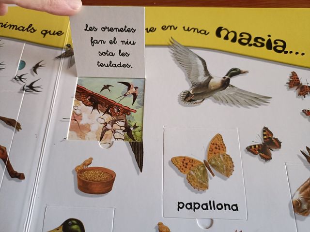 Llibre infantil: "Masia"