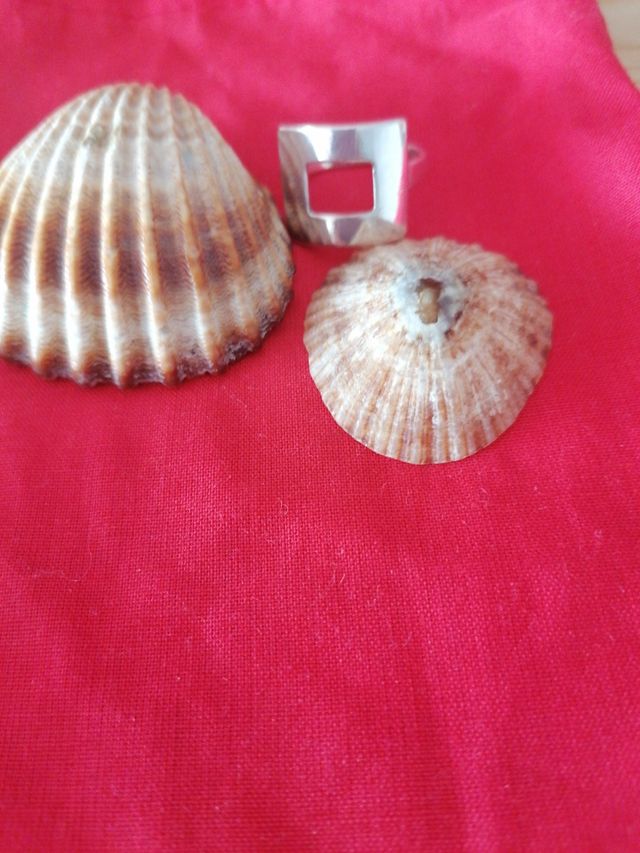 Anillo de plata forma cuadrada