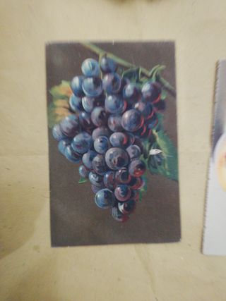 Cartoline in velluto