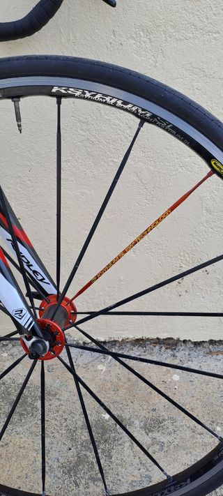 Ridley Orion