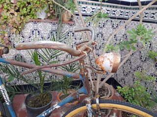 Bicicleta antigua