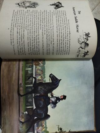 Album of horses