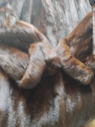 Pieles