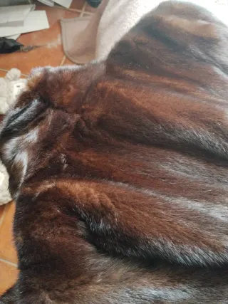 Pieles