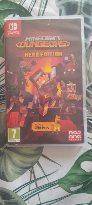 Minecraft dungeons switch