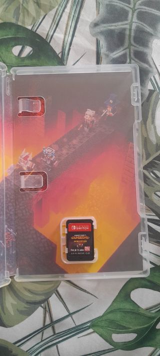 Minecraft dungeons switch