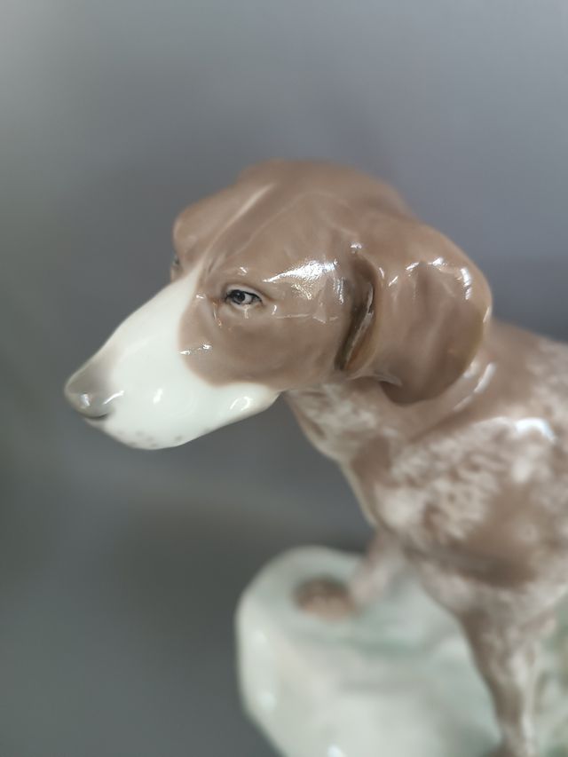 Statua cane in porcellana Amphora