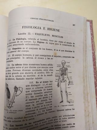 Enciclopedia escolar Luis Vives 1952 COLECCIONISTA