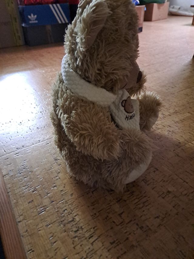 Peluche orso