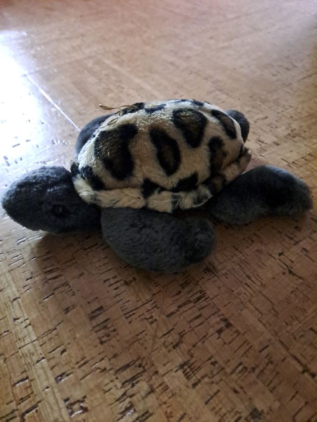 Peluche tartaruga