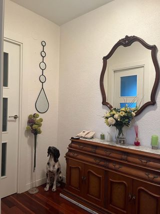 Mueble recibidor/salón/dormitorio + Espejos