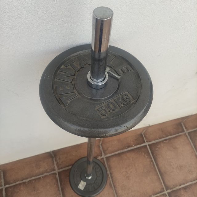 Barra + discos de pesas