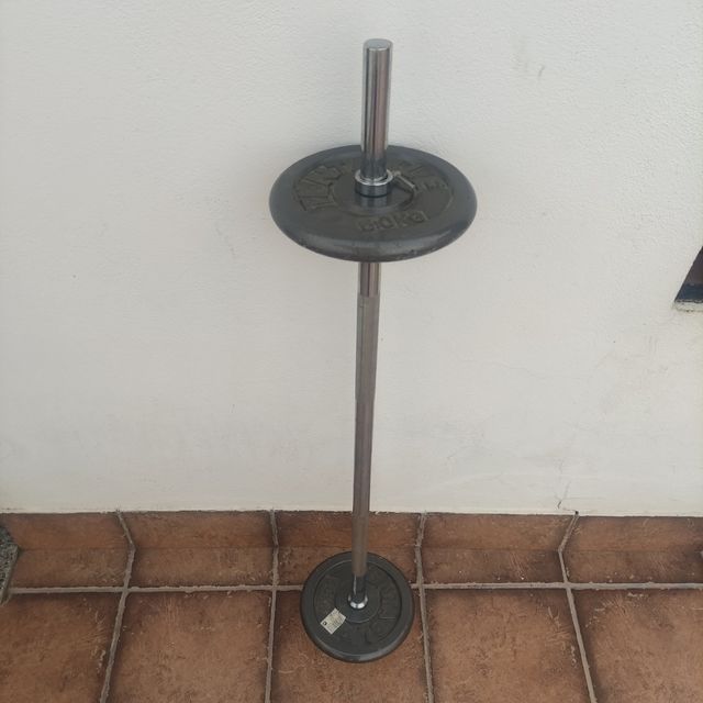 Barra + discos de pesas