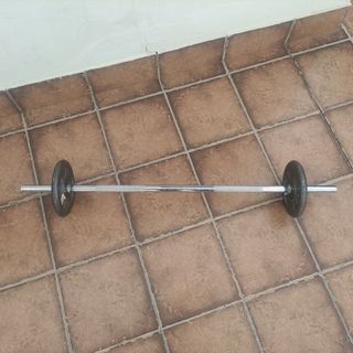 Barra + discos de pesas