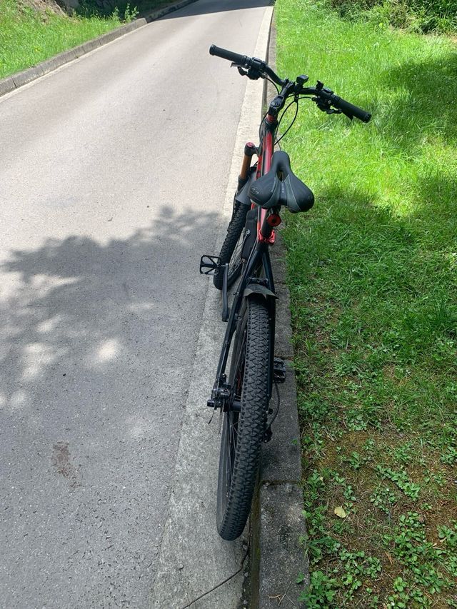 Bicicleta de montaña