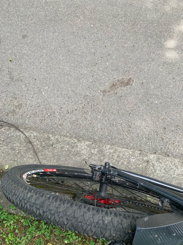 Bicicleta de montaña