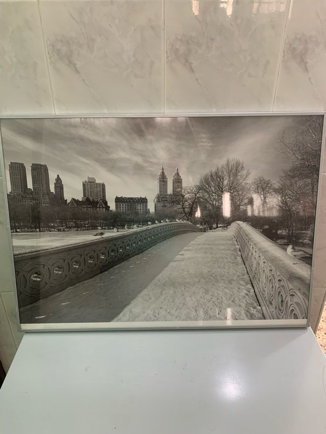 Cuadros 9 euros cada uno