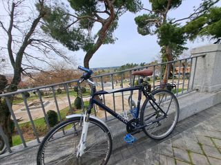 Bicicleta Python inglesa hibrida 29