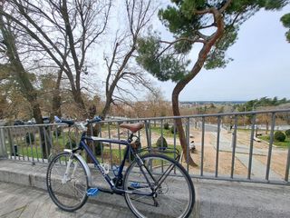 Bicicleta Python inglesa hibrida 29