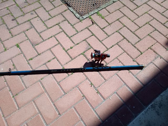 Canna da pesca metri 2.93