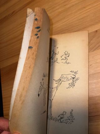 Libro Georges Marvellous Medicine