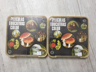 EL TELESCOPIO–LAS GYMNOSPERMAS -SUPER 8MM