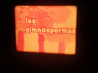 EL TELESCOPIO–LAS GYMNOSPERMAS -SUPER 8MM