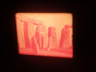 EL TELESCOPIO–LAS GYMNOSPERMAS -SUPER 8MM