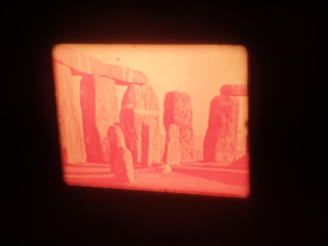 EL TELESCOPIO–LAS GYMNOSPERMAS -SUPER 8MM