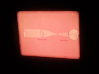 EL TELESCOPIO–LAS GYMNOSPERMAS -SUPER 8MM