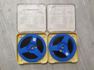 EL TELESCOPIO–LAS GYMNOSPERMAS -SUPER 8MM