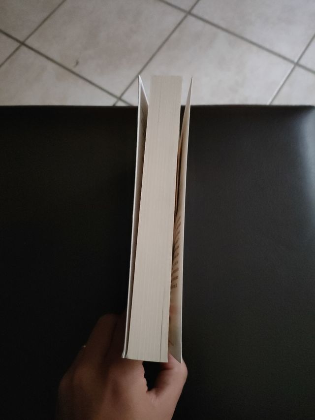 Committed Elizabeth Gilbert English