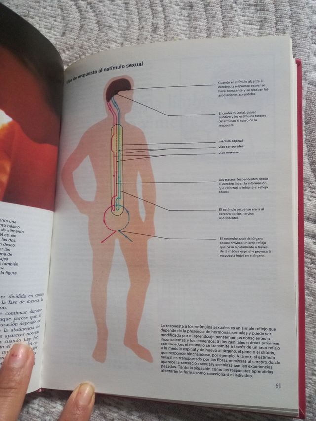 LA MENTE HUMANA ( libro )