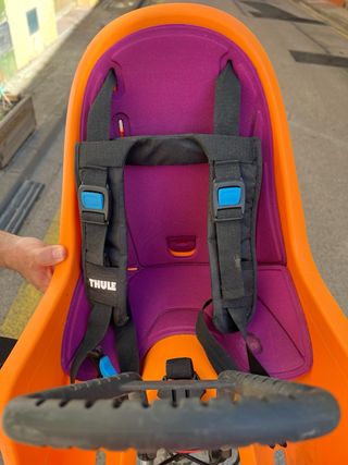 Silla portabebés Thule para Bicicleta