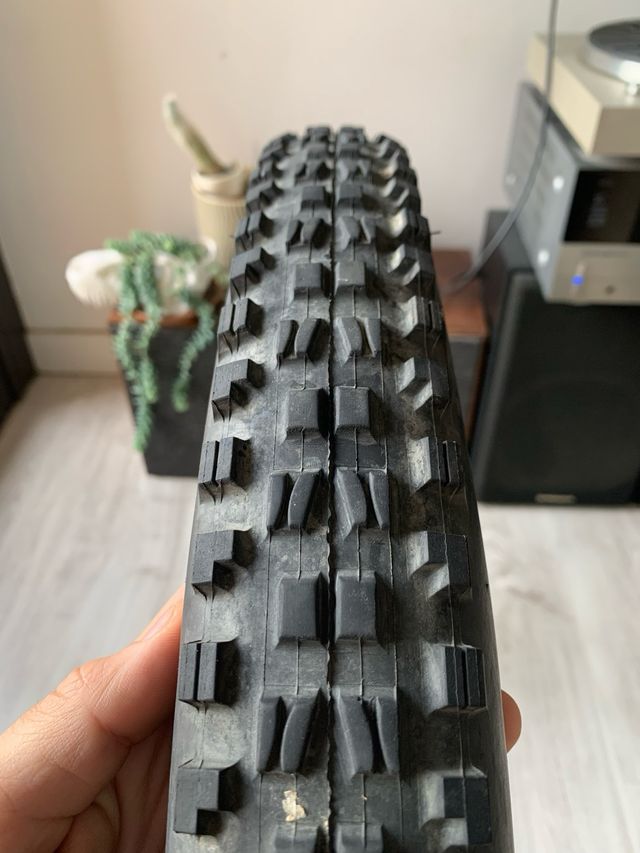 Maxxis minion dhf