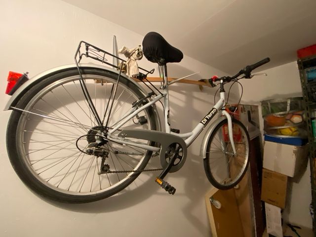 Bicicleta mujer