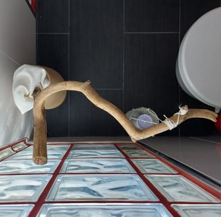 PENSUS - Vaso appendioggetti