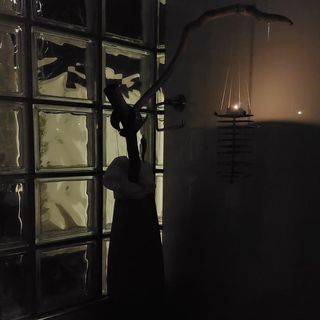 PENSUS - Vaso appendioggetti