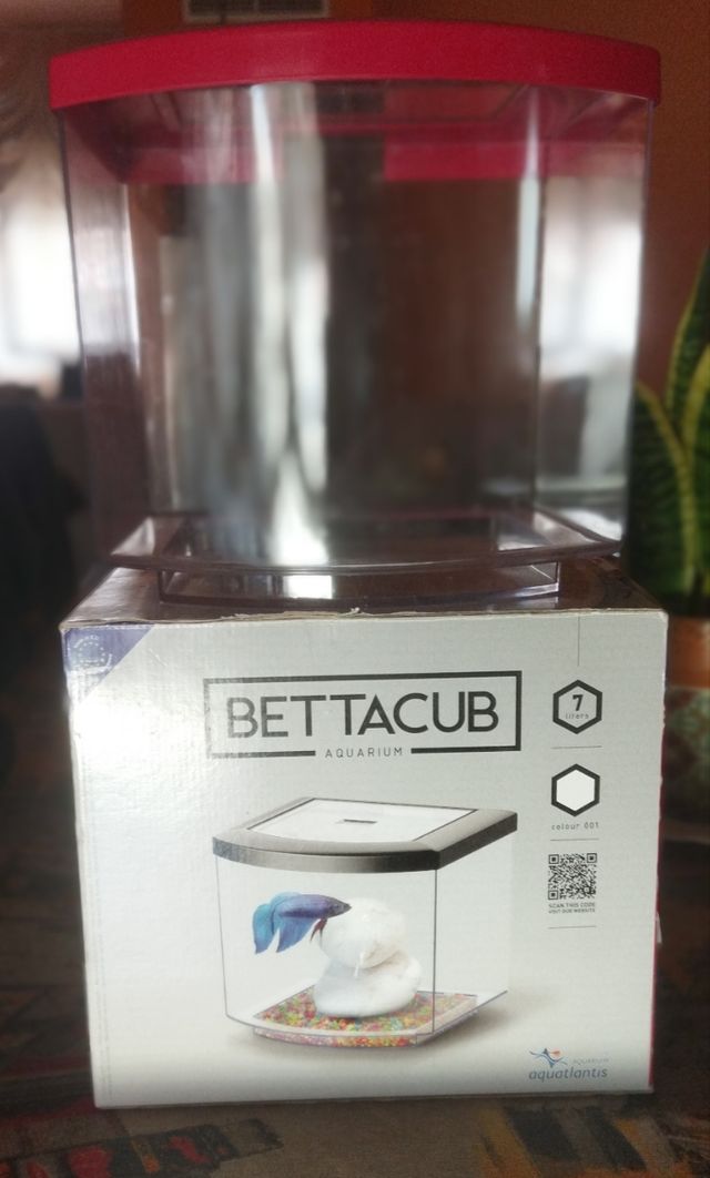 Bettera,acuario y regalo comida betta