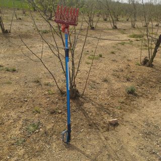 Peine vareador neumático campagnola