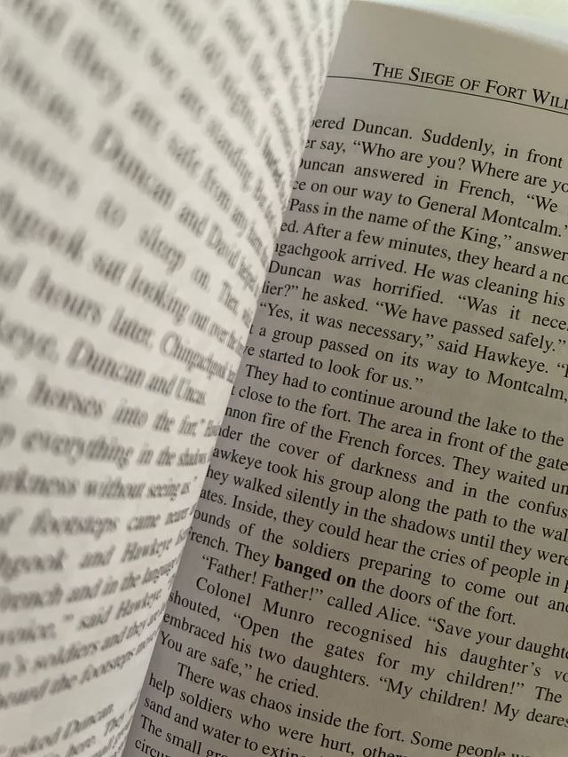 Libro THE LAST OF THE MOHICANS