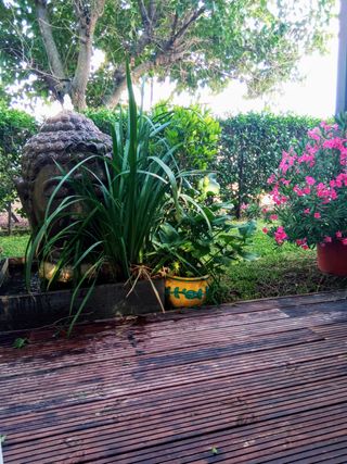 Ref. 23075 CHALET EN ZONA VEGA DEL RÍO