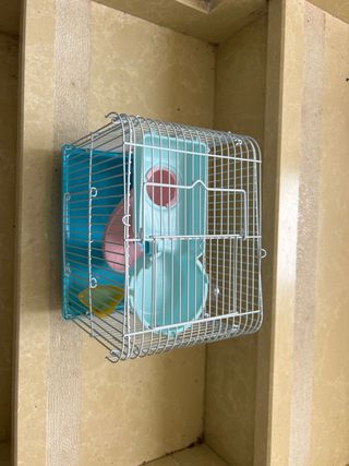 Jaula hamster pequeña
