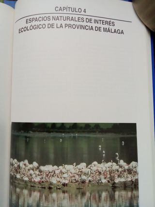 Lote de 4 libros INTERIOR de Malaga