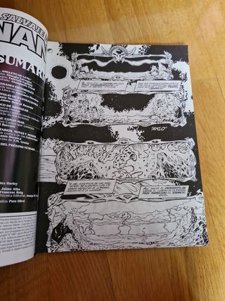 Pack 2 comics esp.salvaje conan